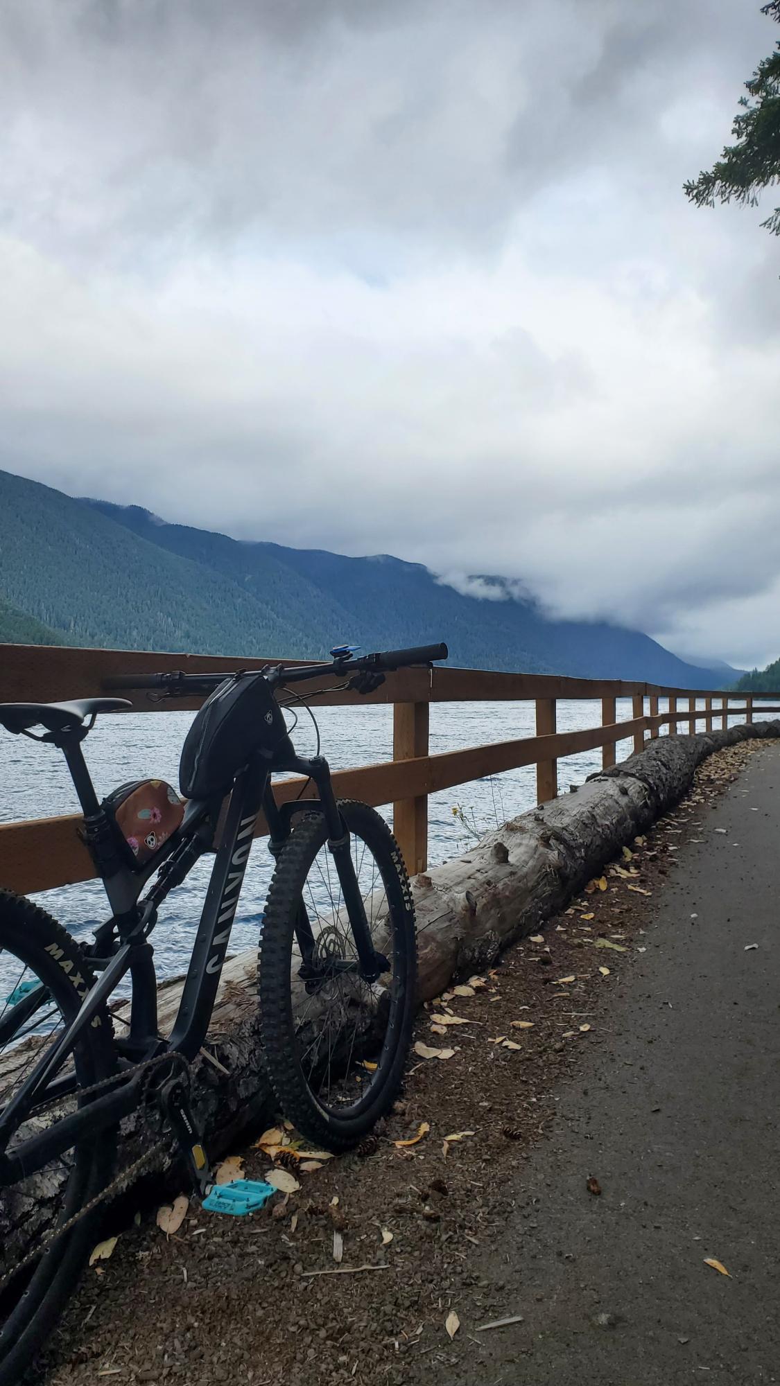 2021 Canyon bicycles Neuron al 7 Black