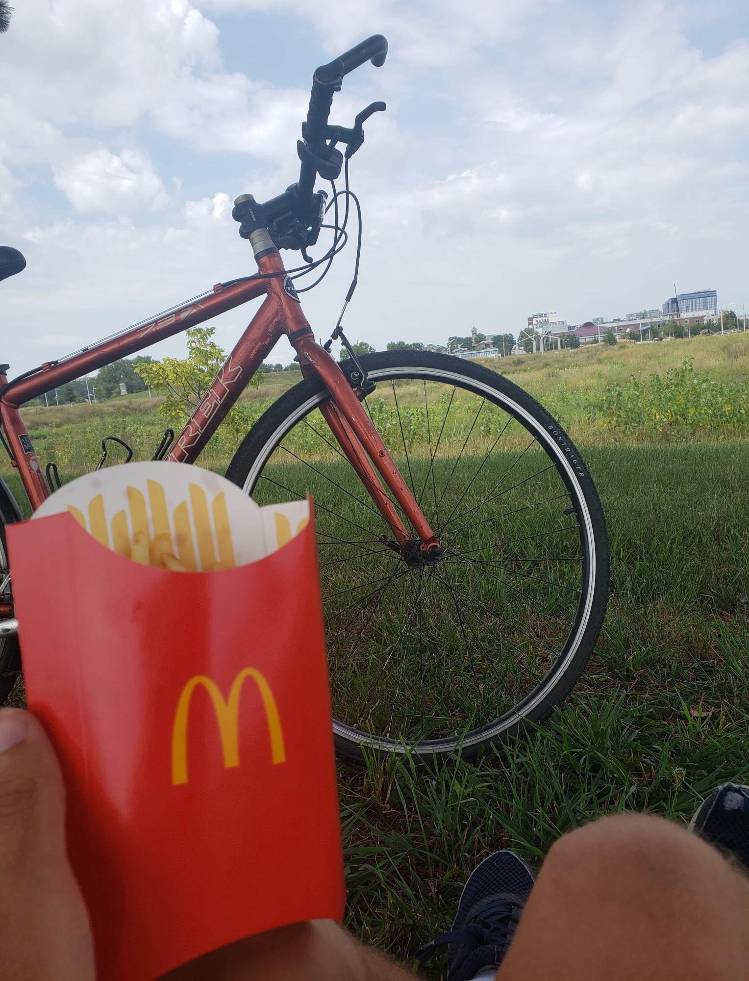 2023 Trek 7.3 fx Red