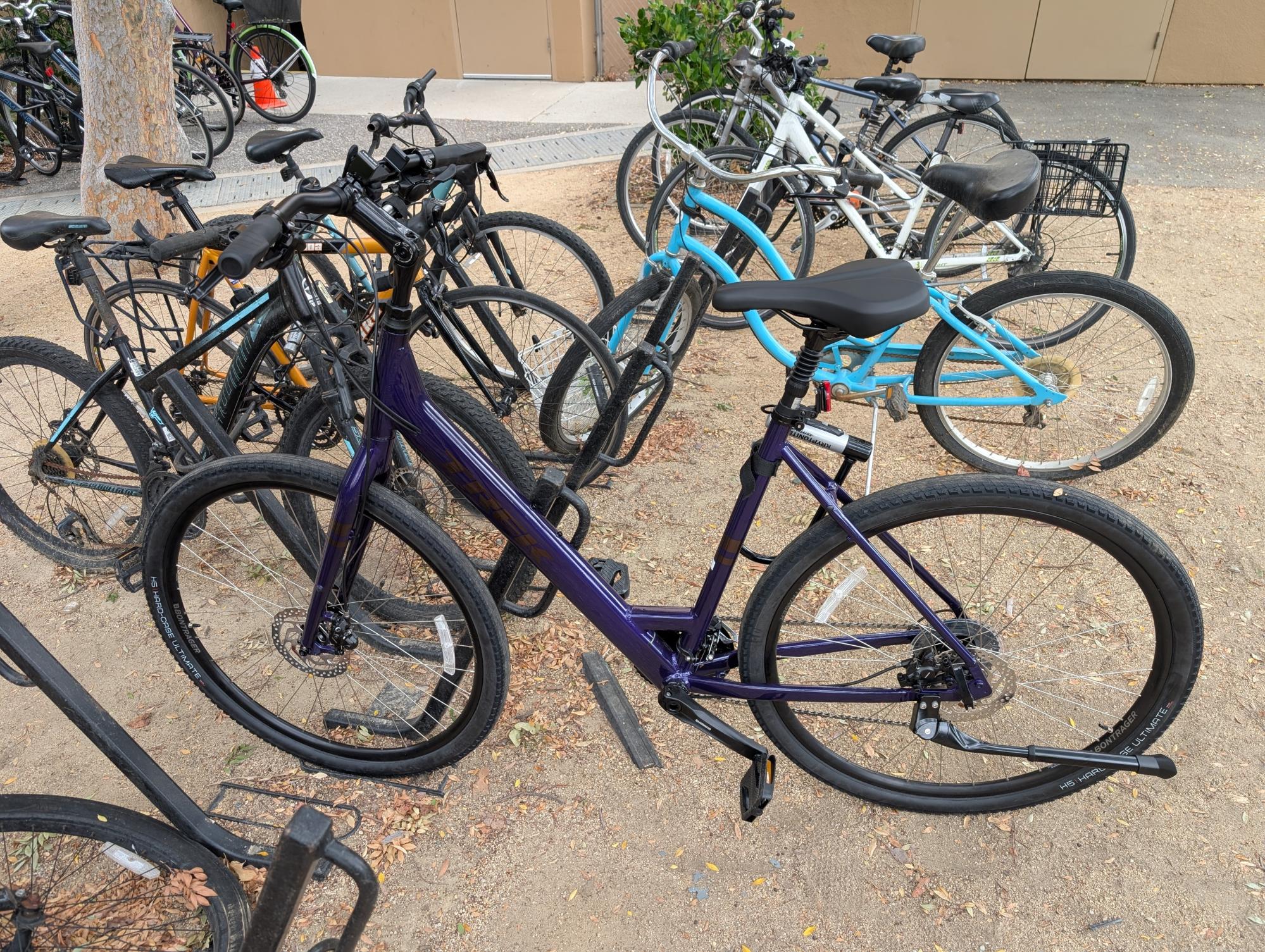 Trek Verve 3 Purple