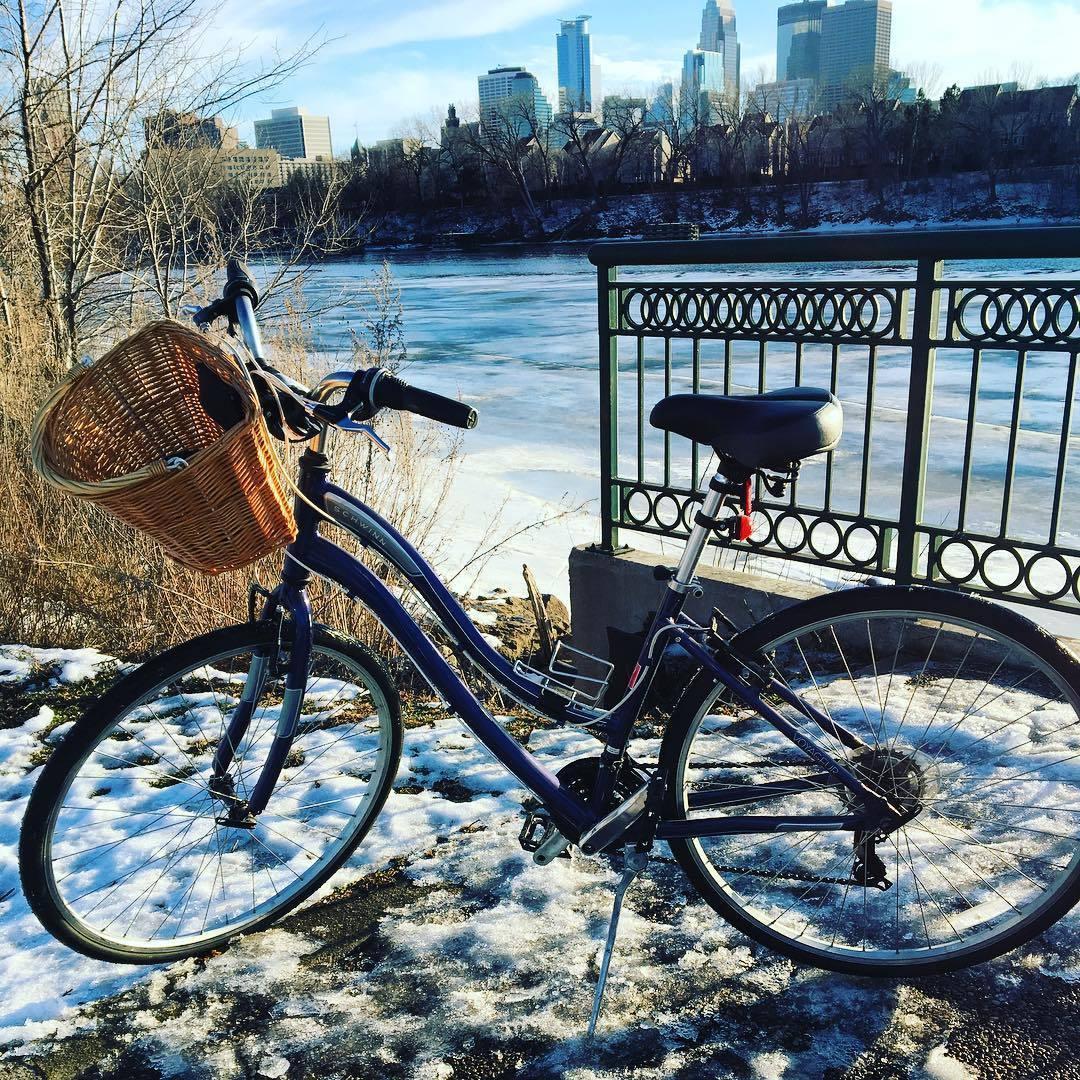 Schwinn Voyageur Blue