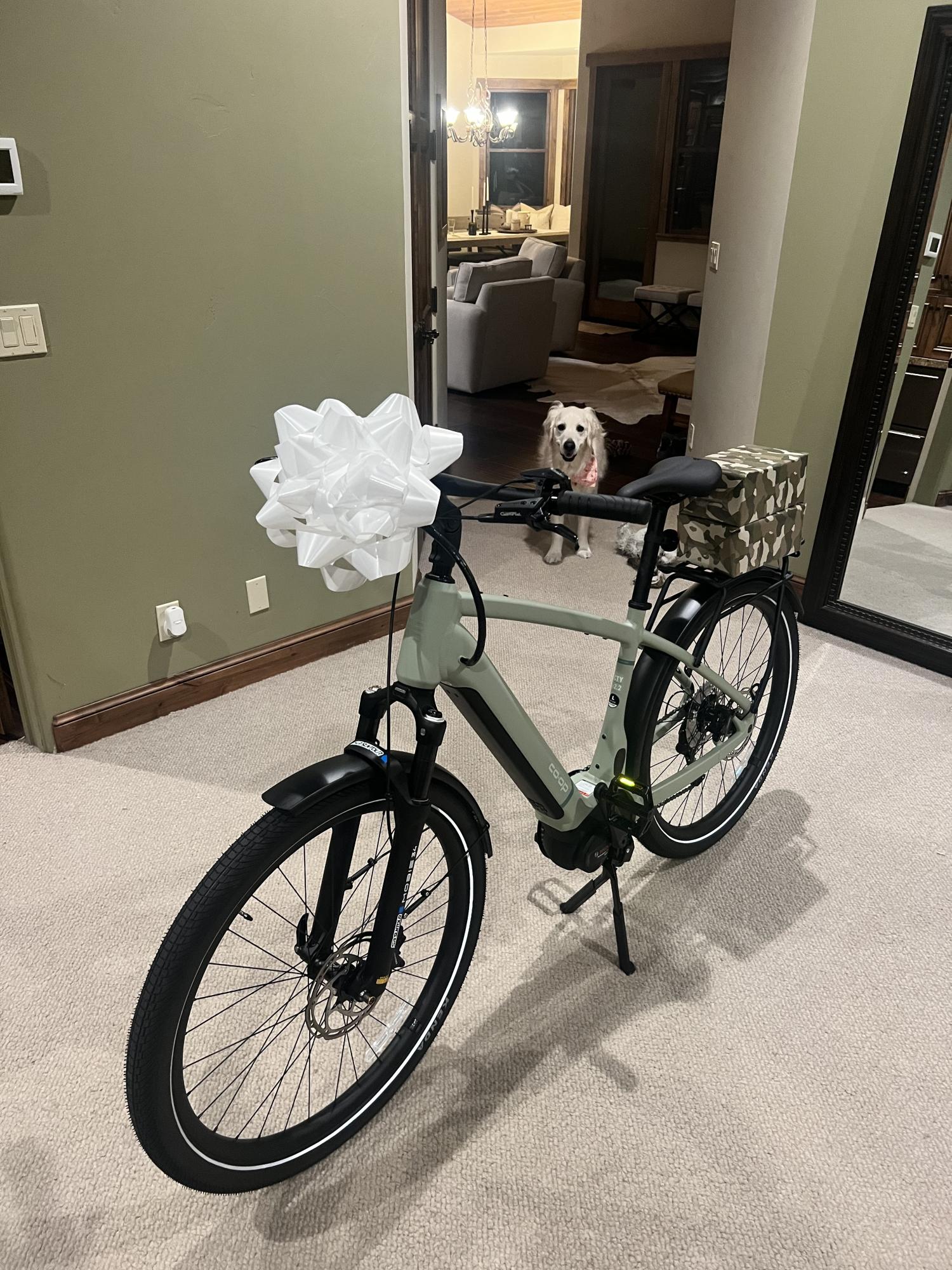 REI Co-op CTY e2.2 E Green and Black