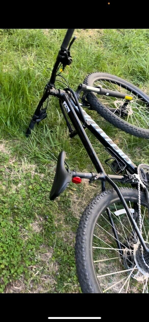 2020 Specialized Rockhopper Black