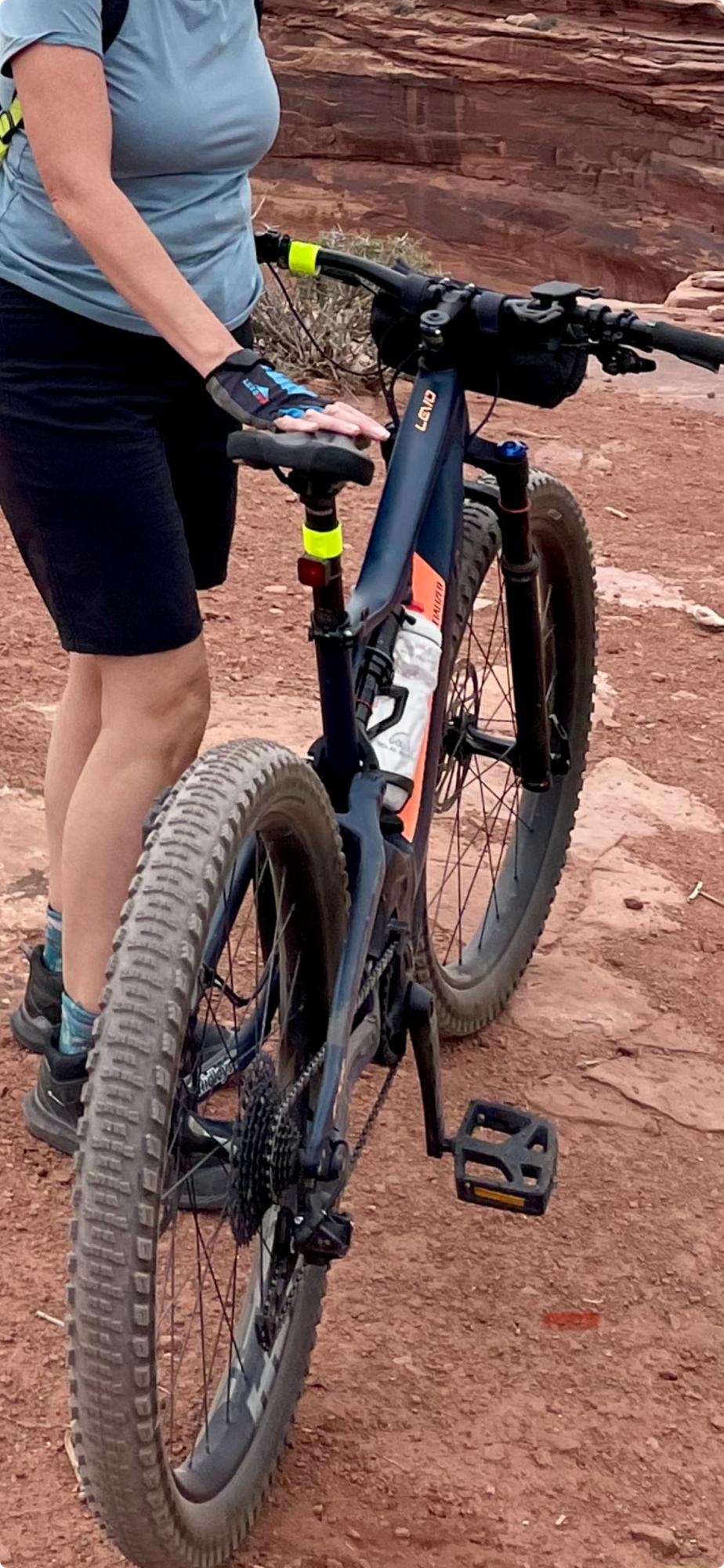 2018 Specialized Turbo Levo Blue and Pink