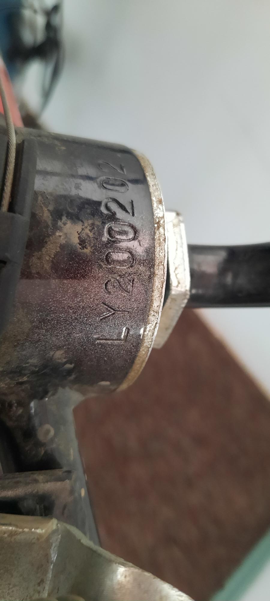 Dynasty Red, Black, and White