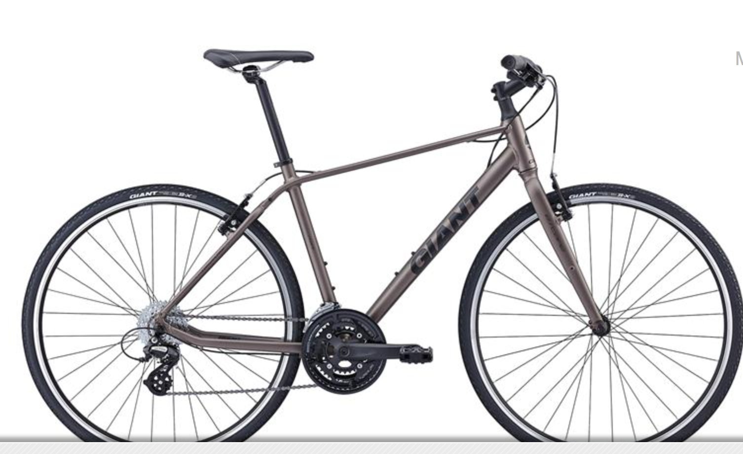 2016 Giant N/A Brown