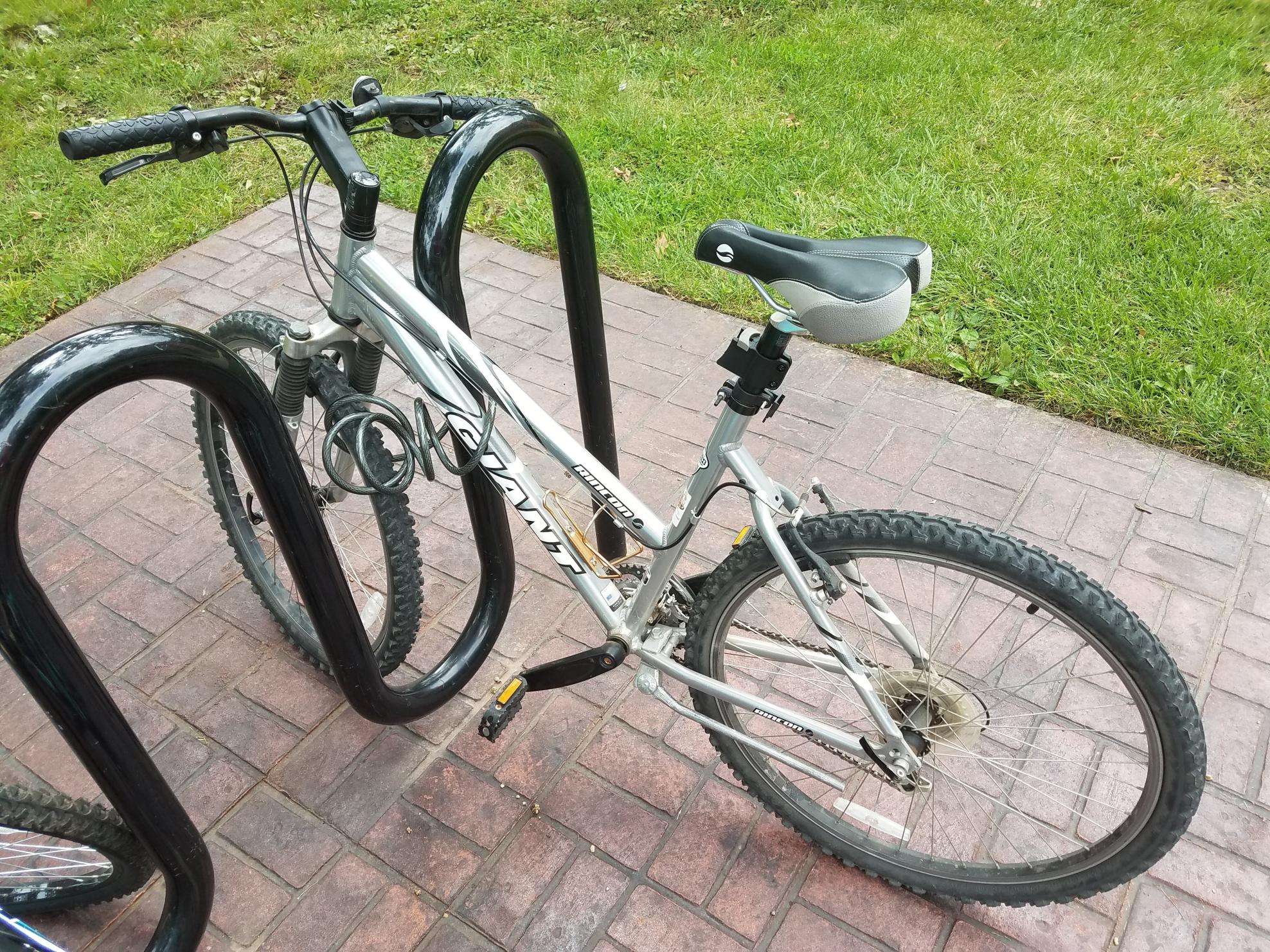 Giant Rincon Silver or Gray