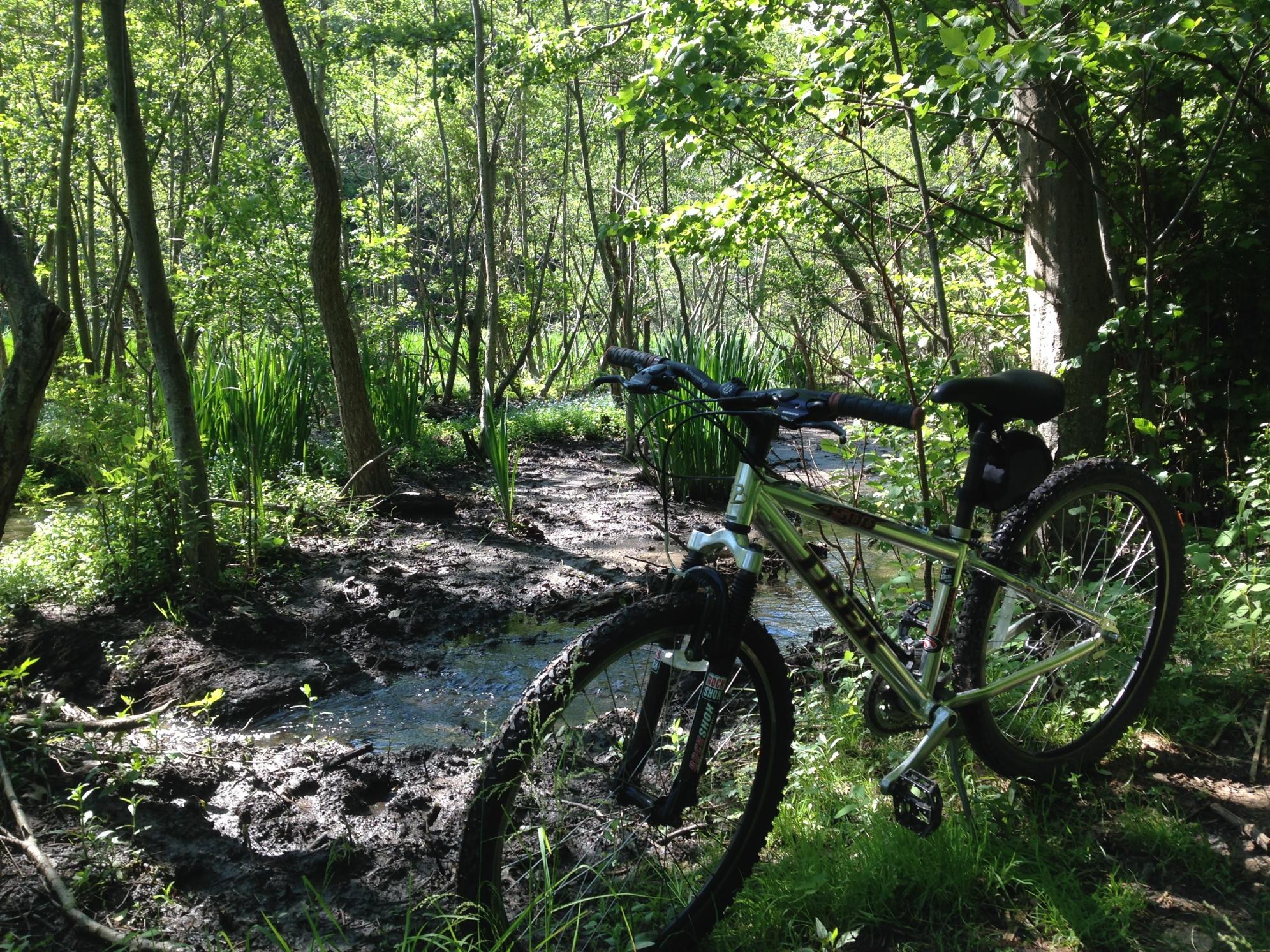 Trek 4500 Silver or Gray, Black, and Red