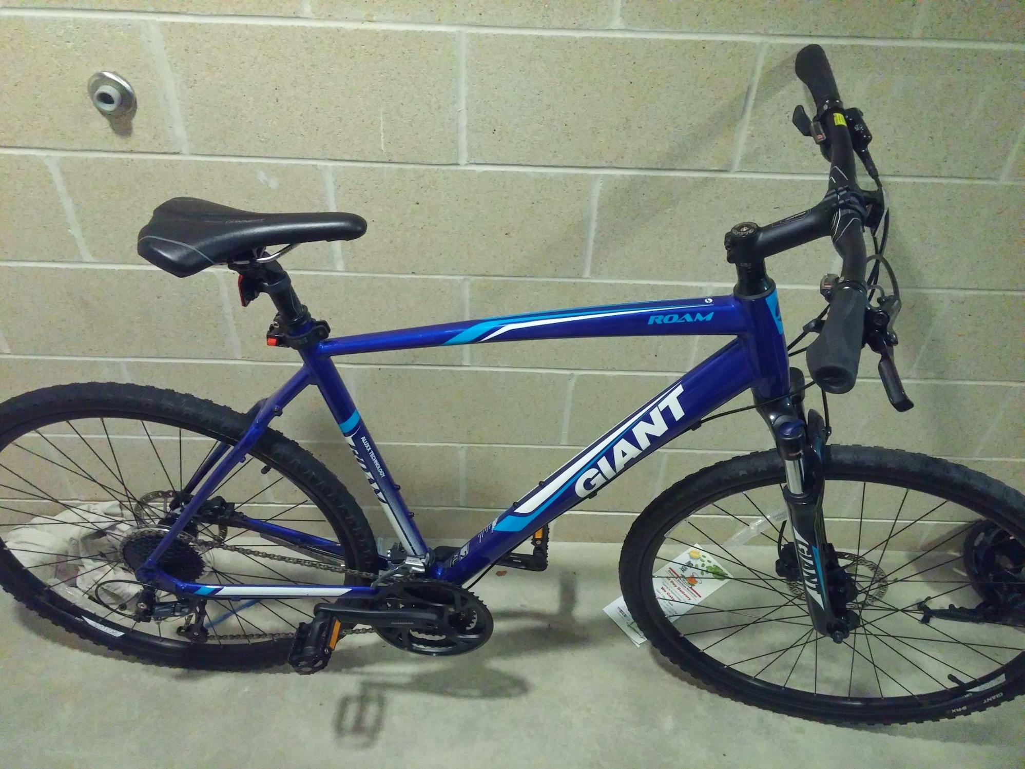 2015 Giant Roam Blue