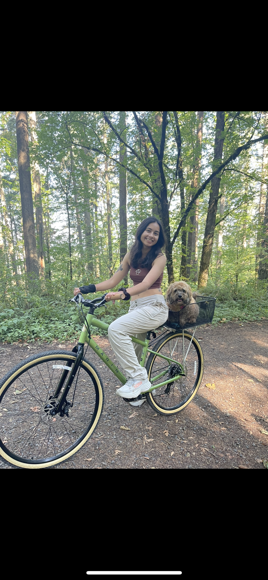 2025 Marin Bikes Green