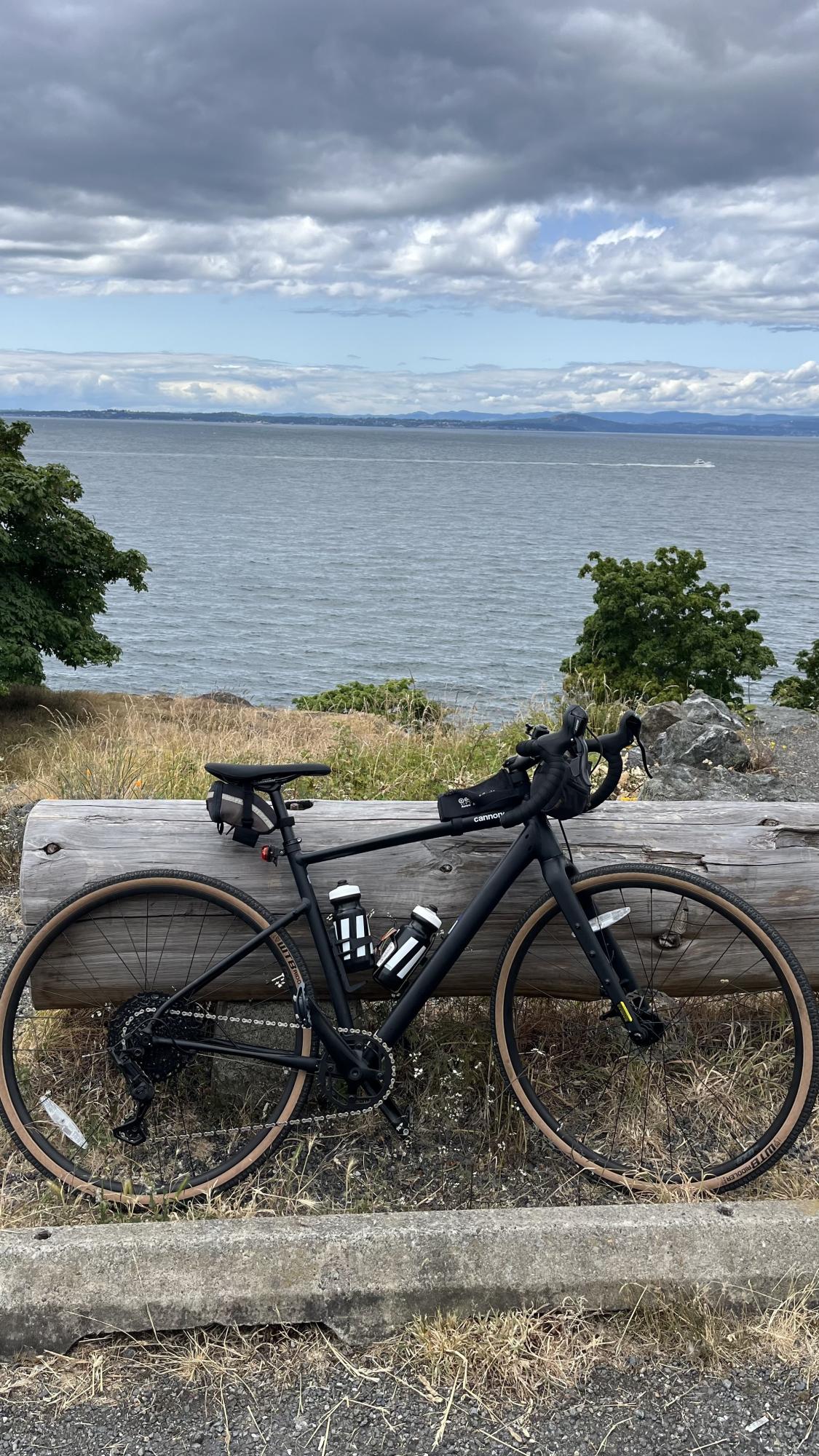 2024 Cannondale Black