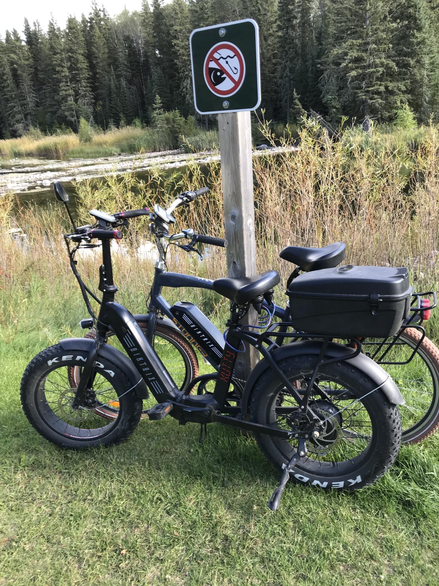 Biketrix Kutty LT Folding bike Black