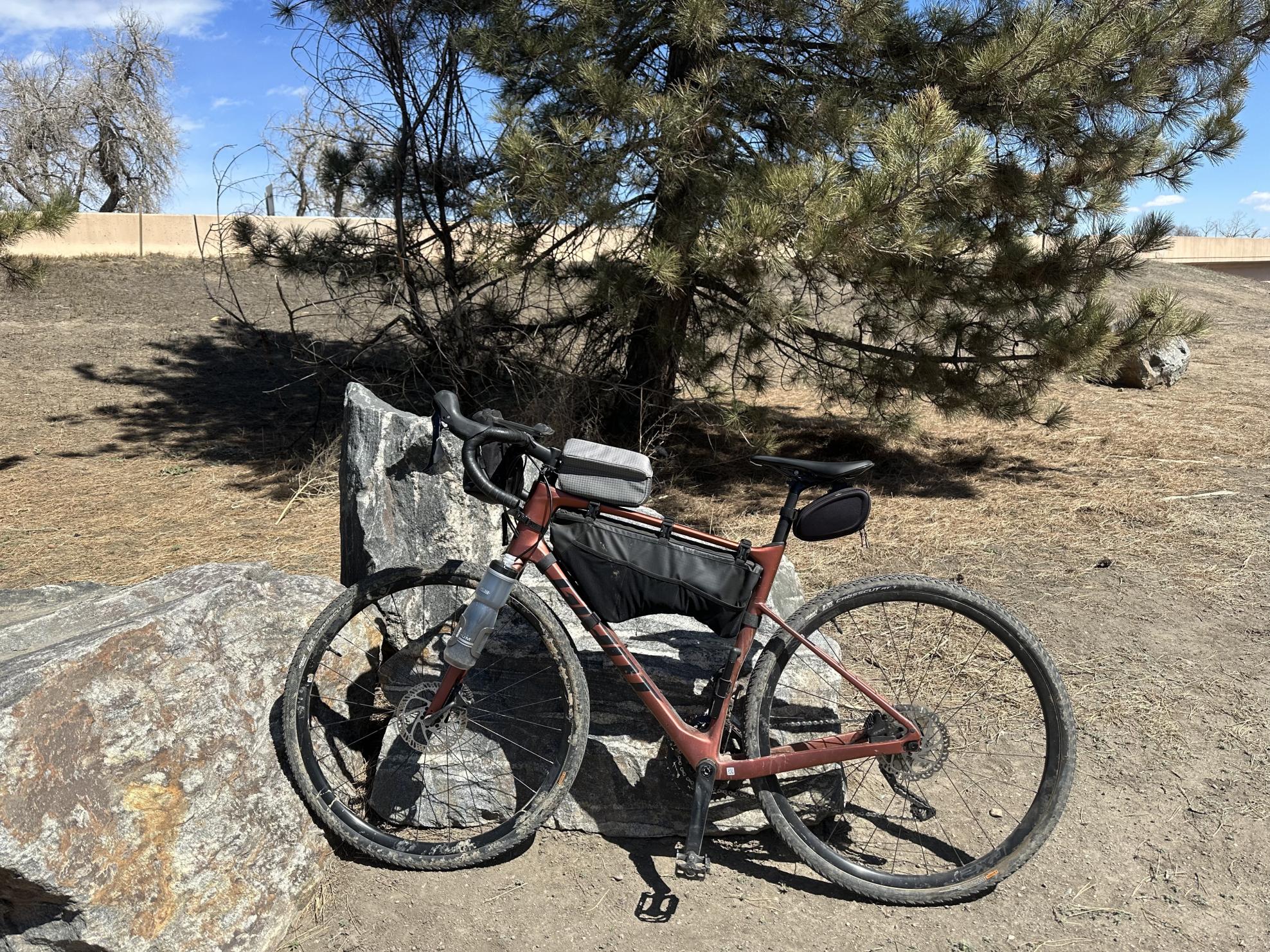 2022 Giant Revolt advanced 3 Orange