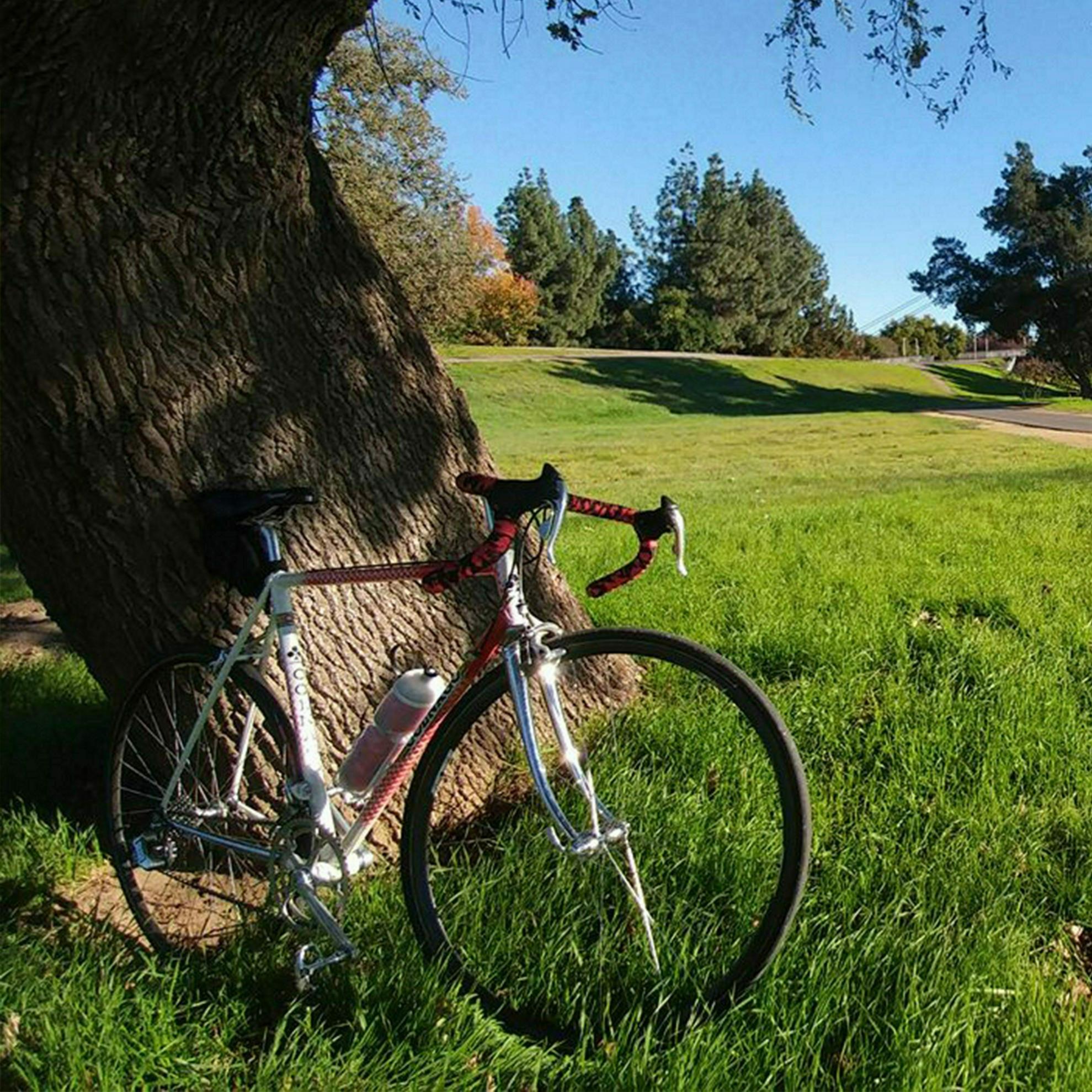 Colnago Red and White