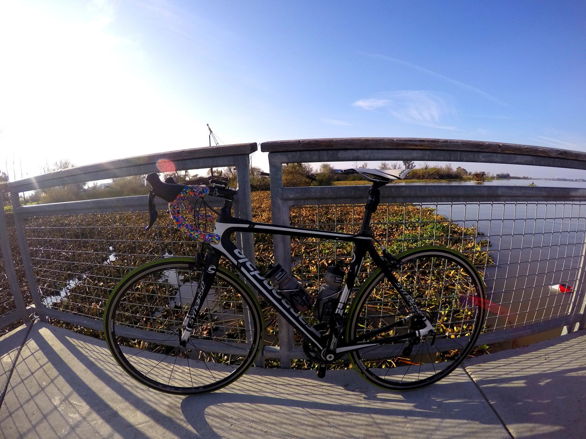 2012 Cannondale Synapse  Black and White