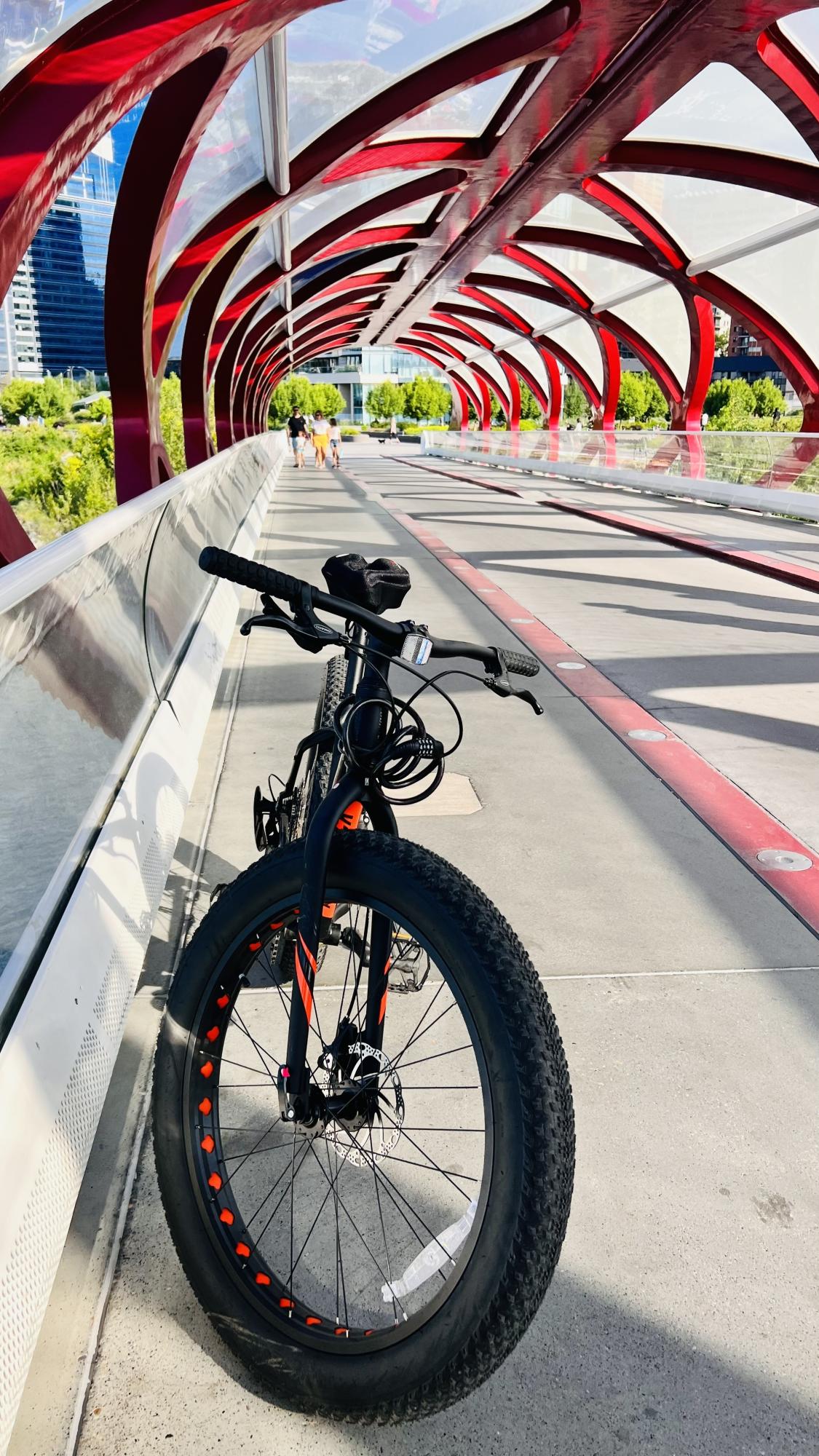 2022 Northrock Black