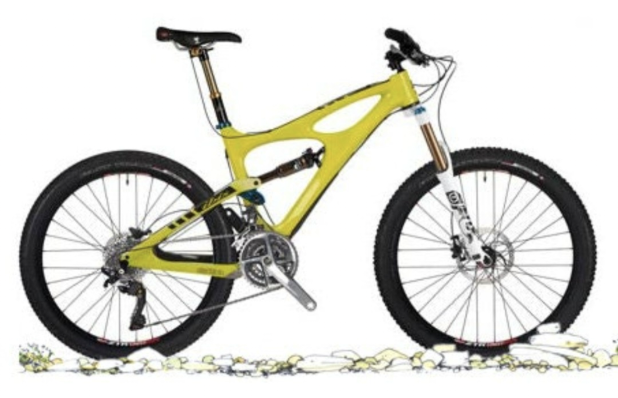 Ibis Yellow or Gold