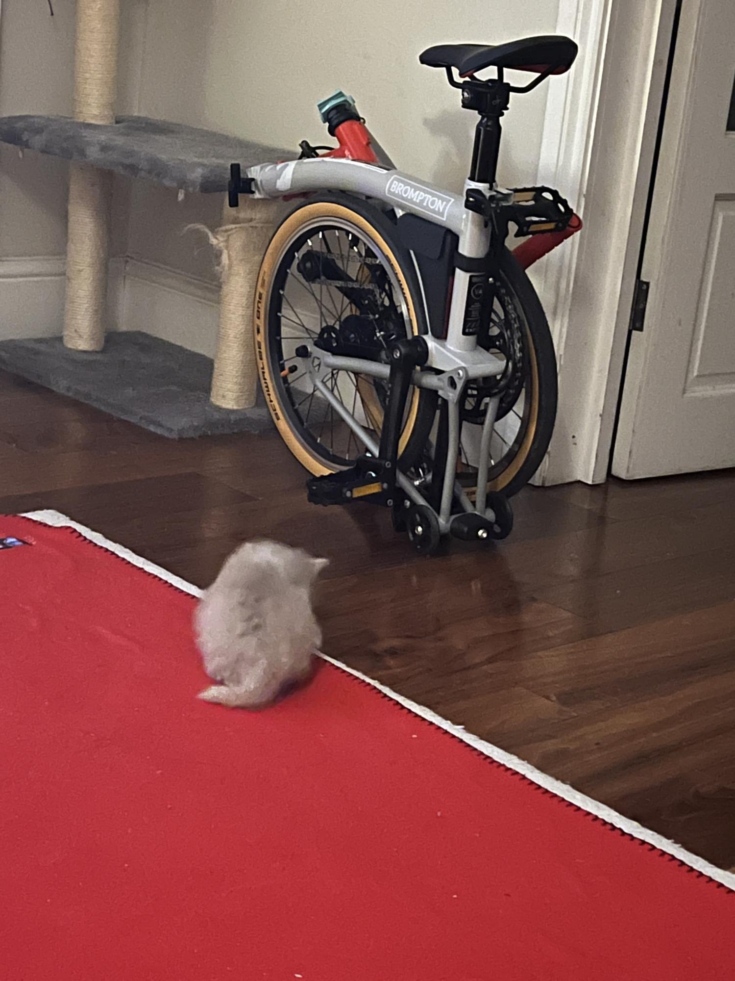 2023 Brompton Bicycle 1035617 Silver, gray or bare metal