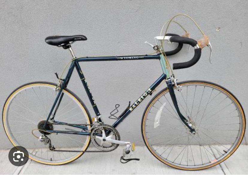 1984 Raleigh Wyoming Blue and Silver, gray or bare metal