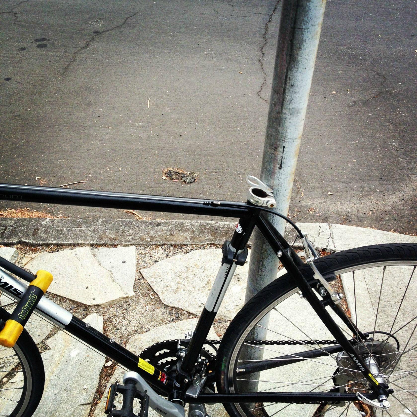 2010 Jamis Coda Sport  Black