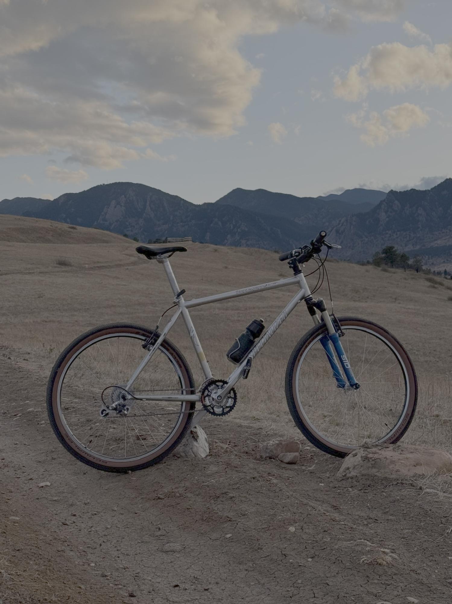 1998 Specialized Rockhopper FS Silver, gray or bare metal