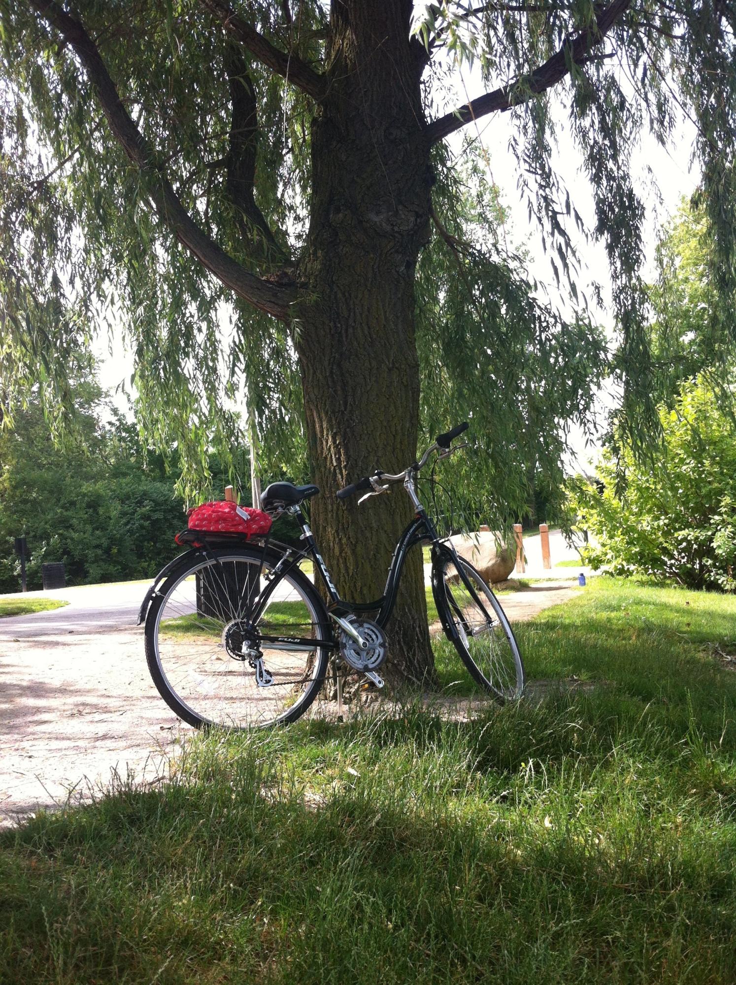 2012 Fuji Crosstown 3.0 Ls Black