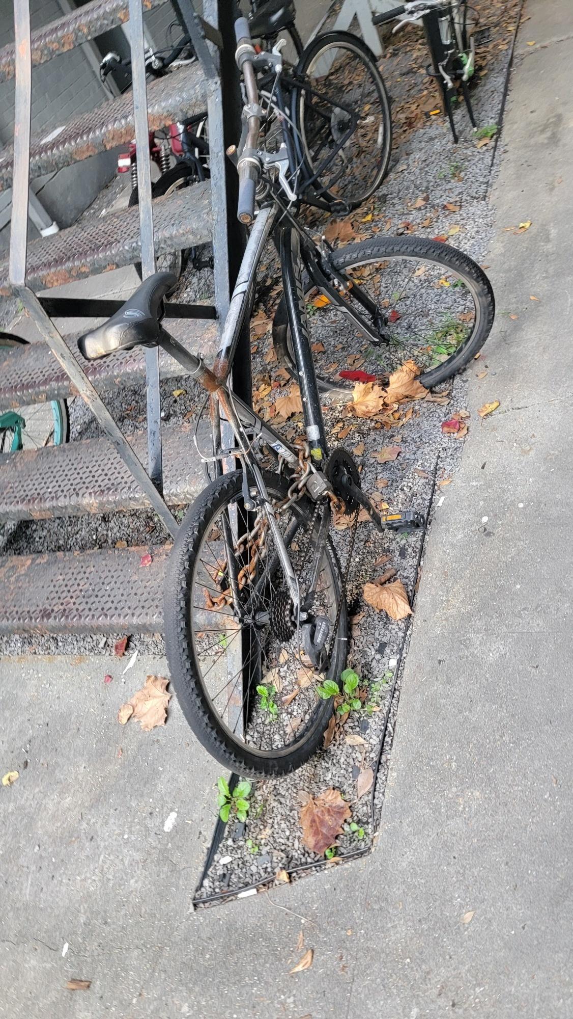 Jamis Black and Silver, gray or bare metal