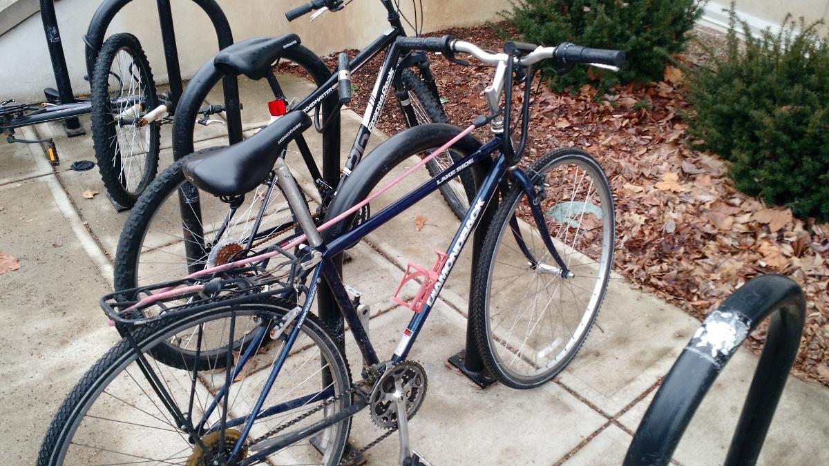 Diamondback Lakeside Blue