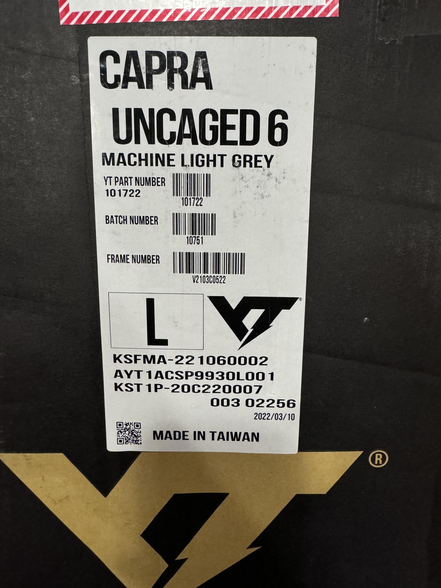 2022 YT Capra uncaged 6 Silver, gray or bare metal