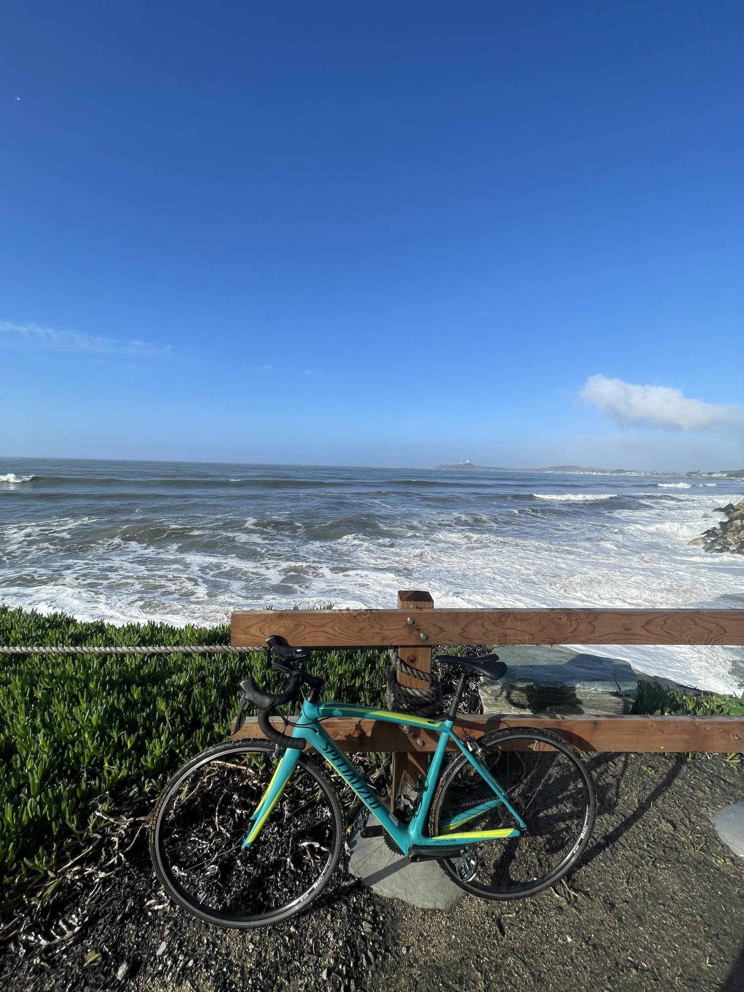 Specialized Amira Comp Blue and Green