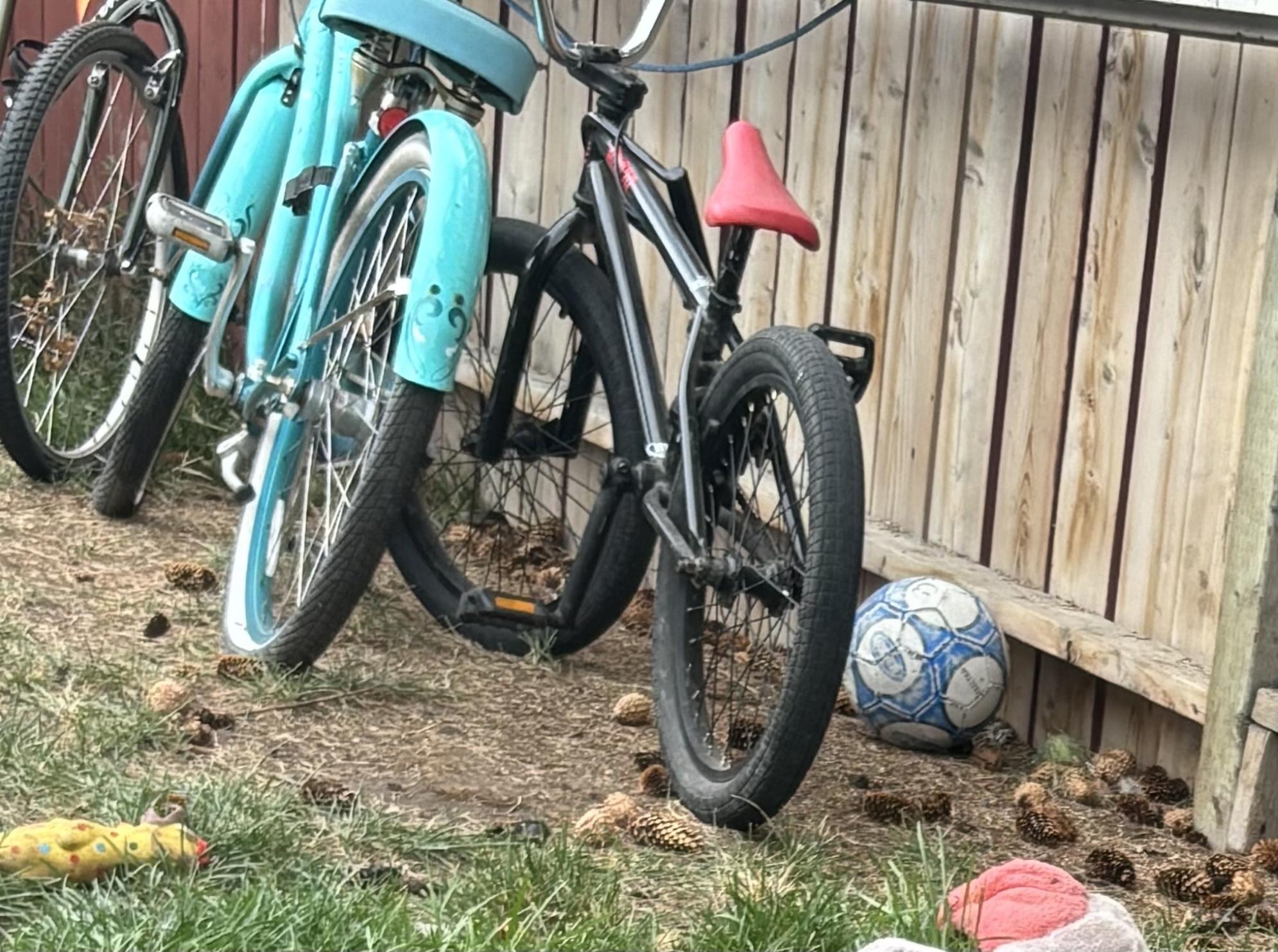 2015 Unknown Cruiser Teal