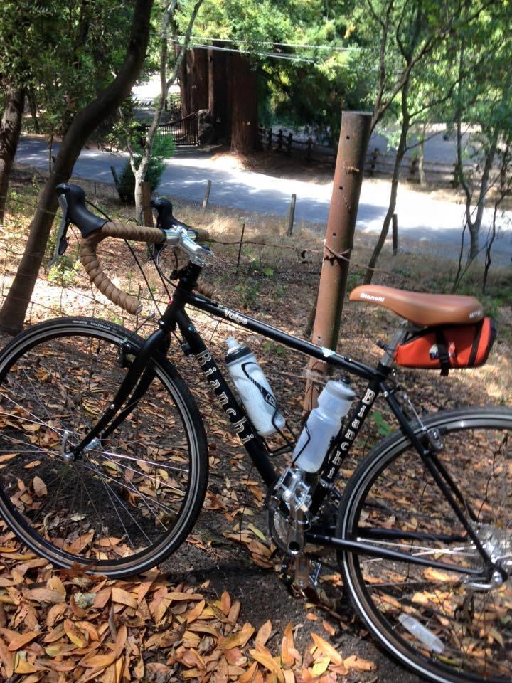 2015 Bianchi VOLPE Black