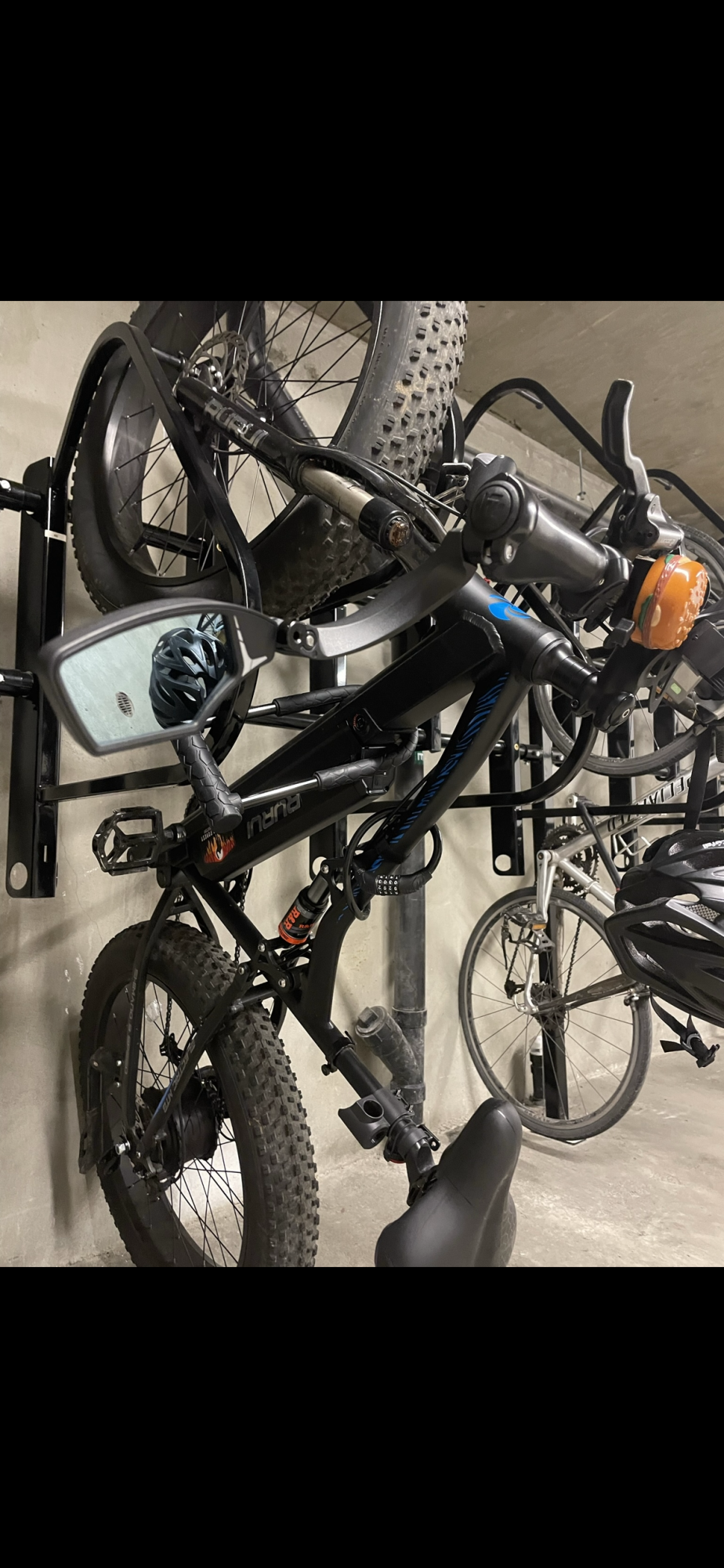 2022 Aurochs Rurui Black