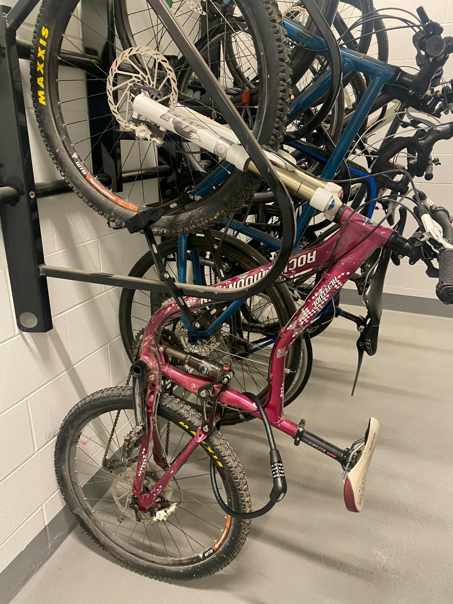2010 Rocky Mountain Bicycles Altitude Pink