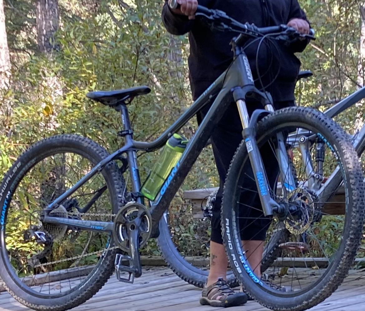 2014 Giant Tempt Silver, gray or bare metal