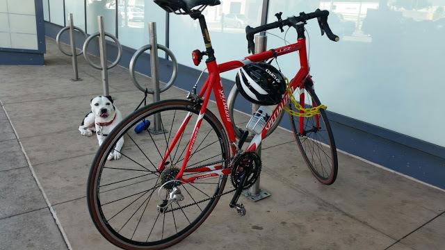 2015 Specialized Allez Elite Red