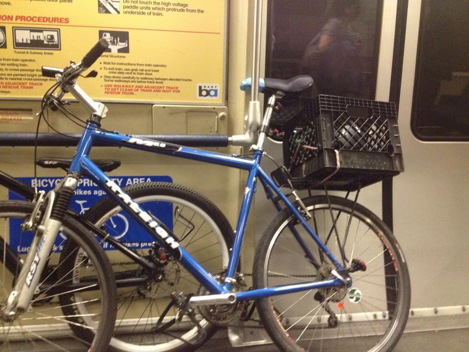 Raleigh  Blue