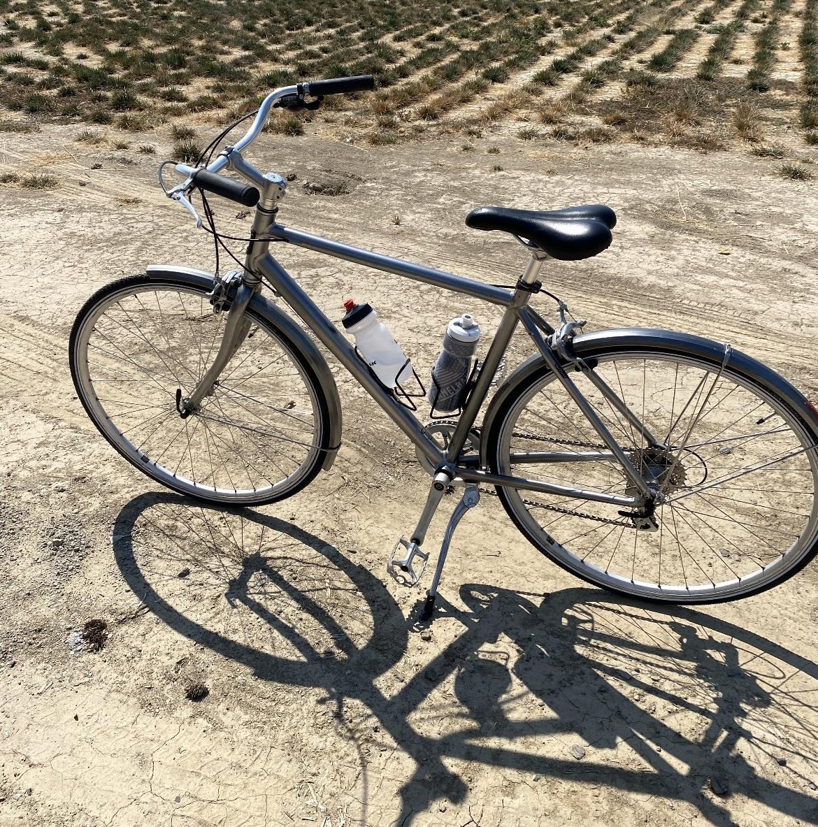 2014 Globe DAILY 2 Silver, gray or bare metal