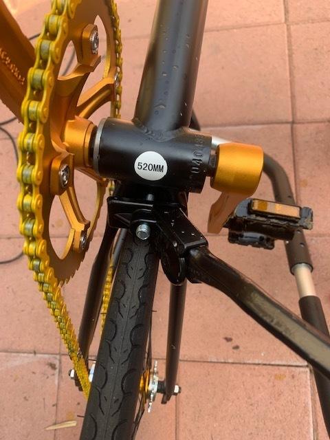 2021 Solé Black and Yellow or Gold