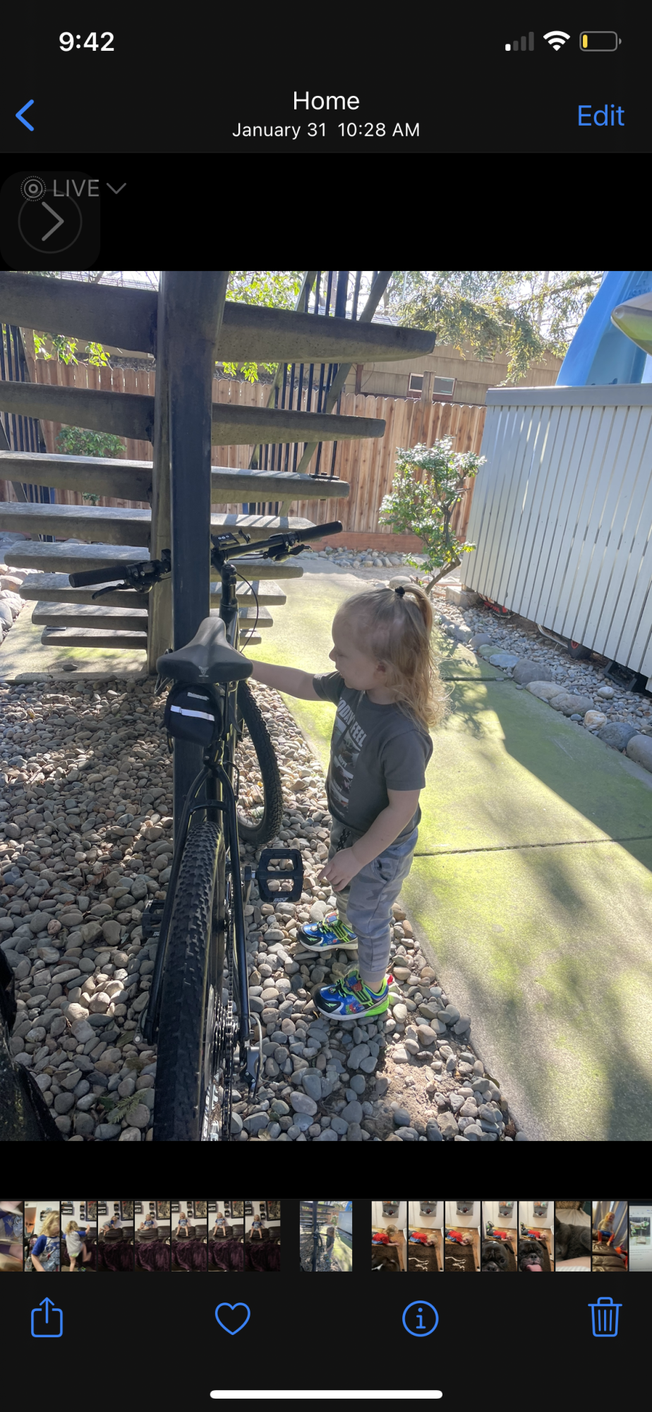 2018 Salsa Journeyman flat bar Black