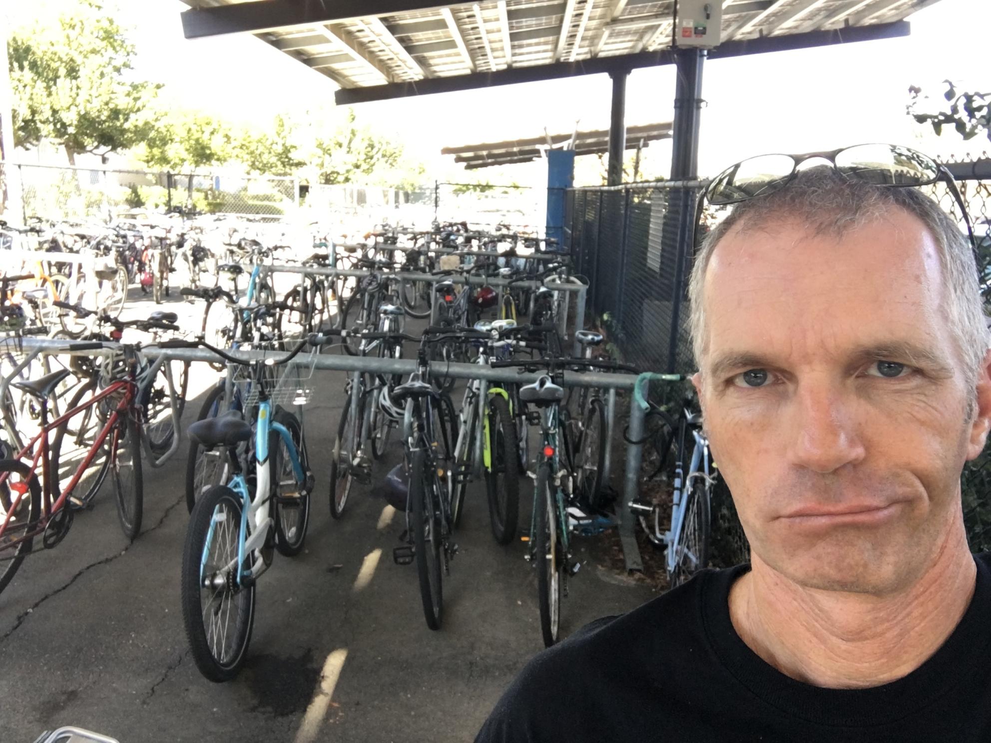 2015 Trek 7.3 FX Blue