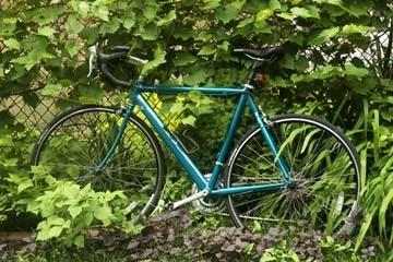 2000 Trek 2000  Teal