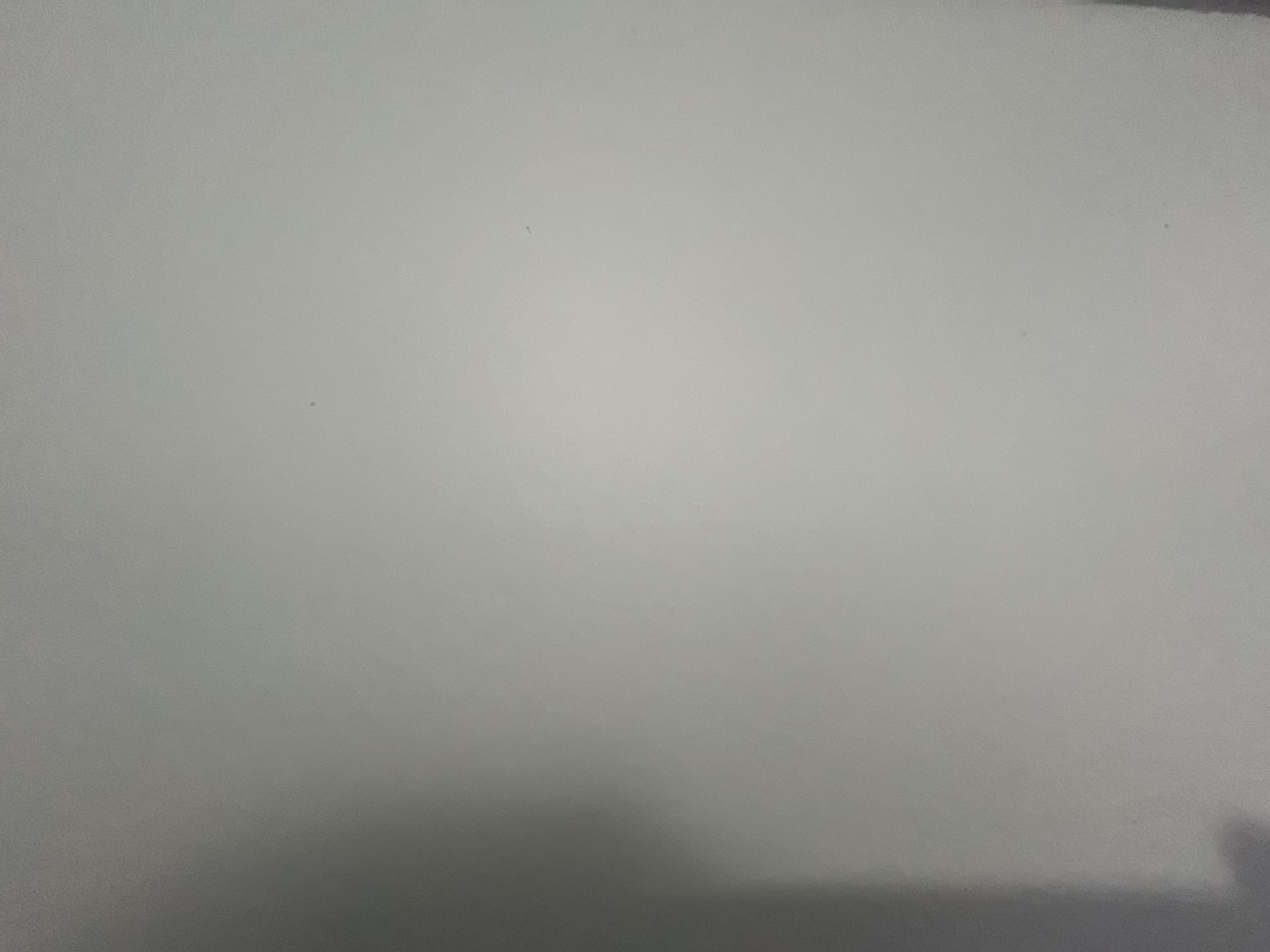 2024 Specialized Black