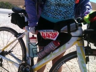 2013 Fuji B1 2588 White, Yellow or Gold, and Green