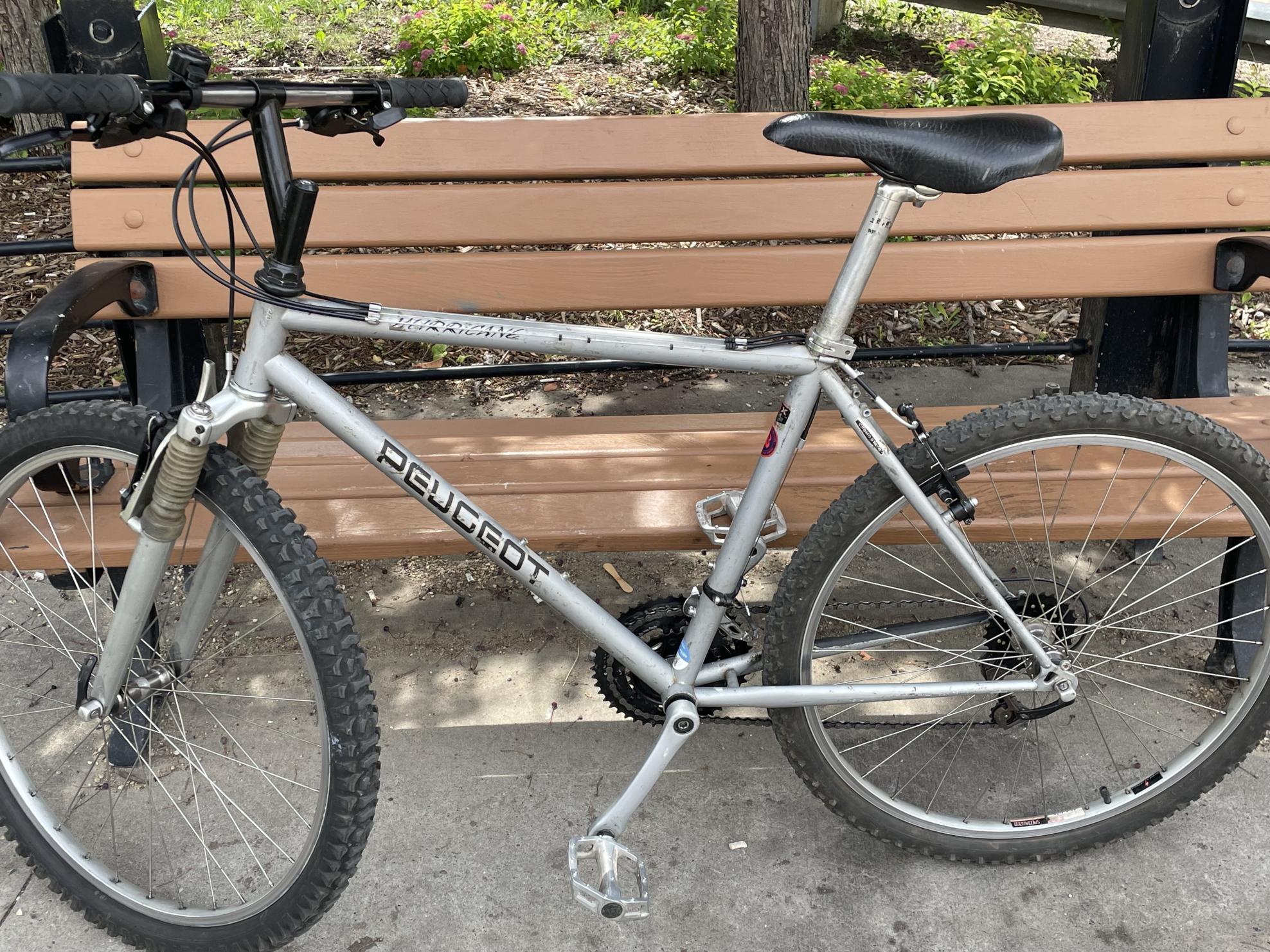 Peugeot Hurricane Silver, gray or bare metal