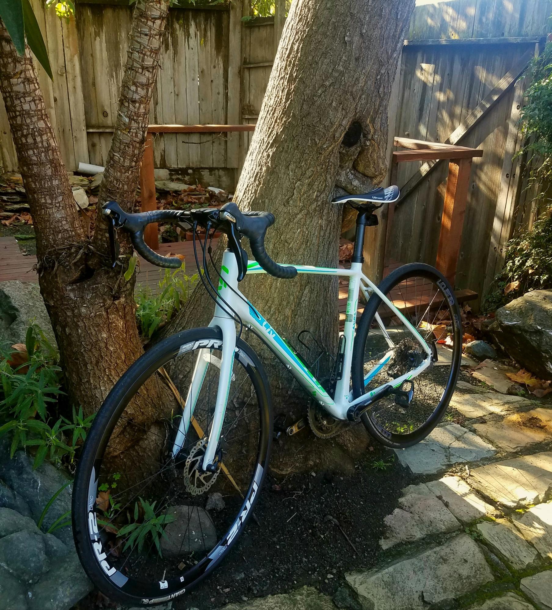 2017 Giant Avail SL 1 disc White, Blue, and Green