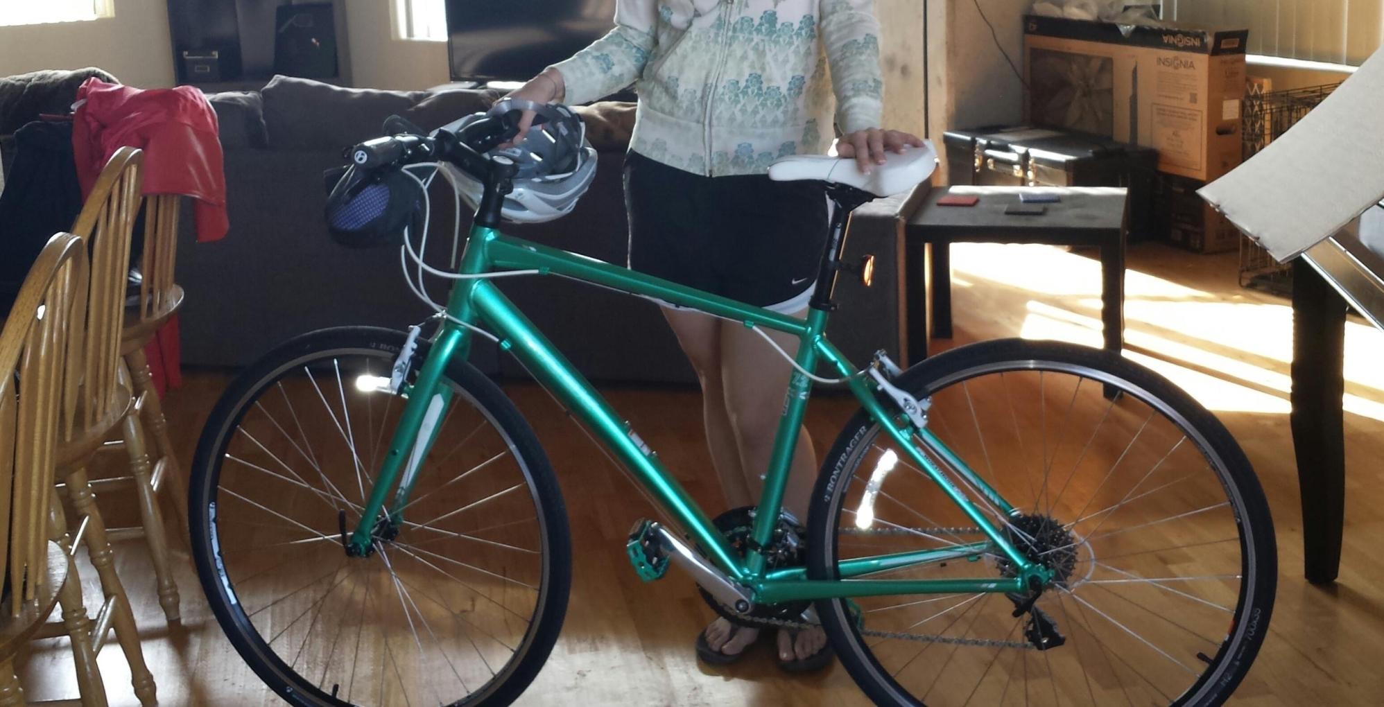 2014 Trek 7.2 FX WSD Green