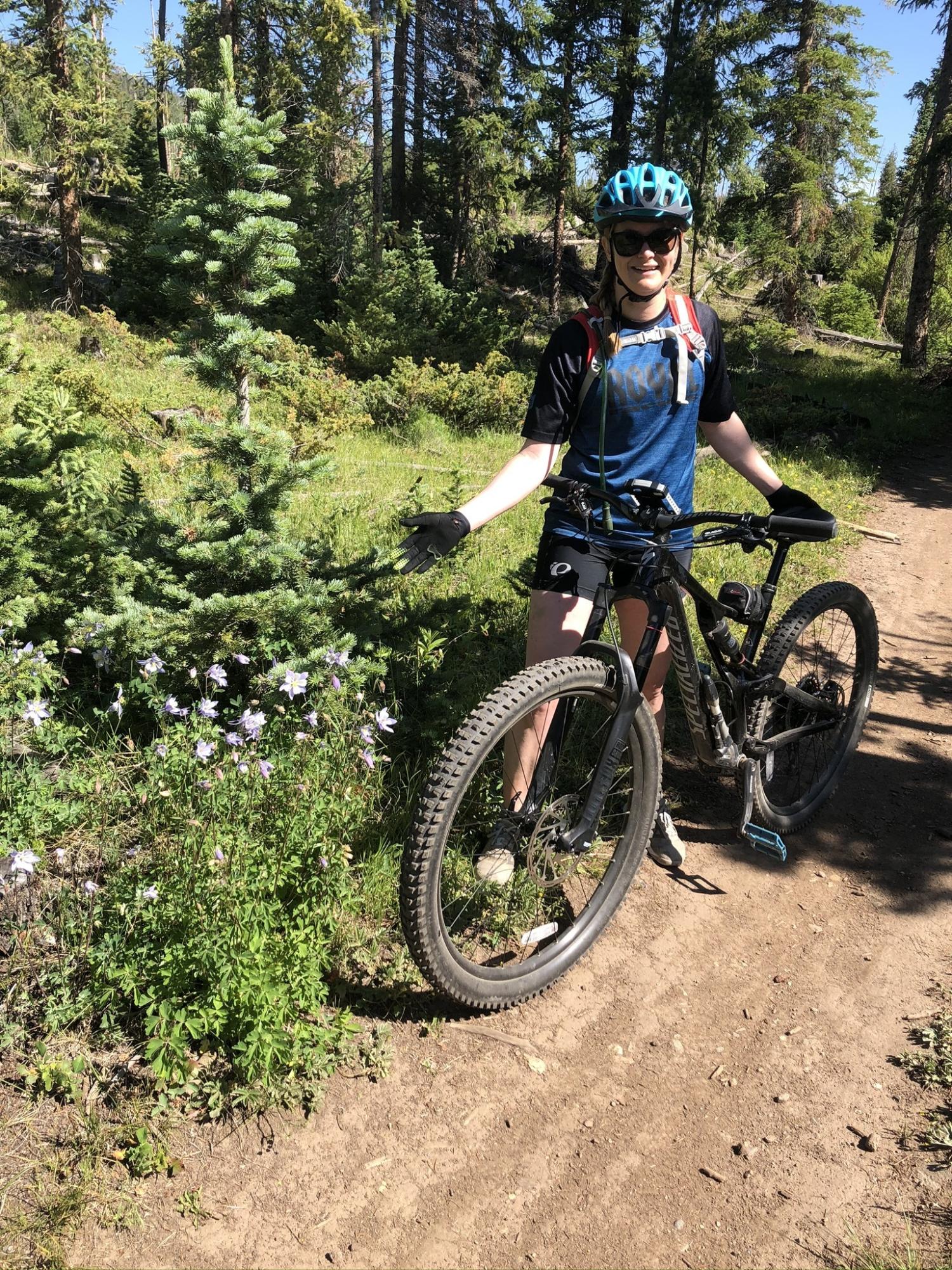 2019 Specialized Stumpjumper 29er Black