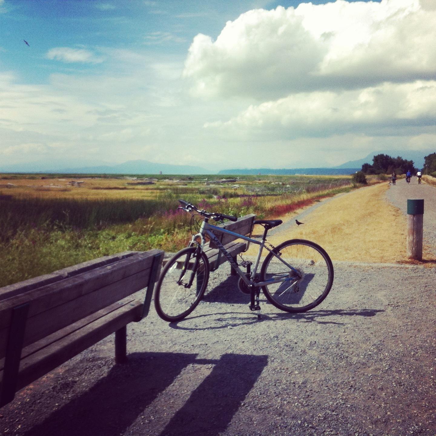 2016 Specialized Hybrid Silver or Gray