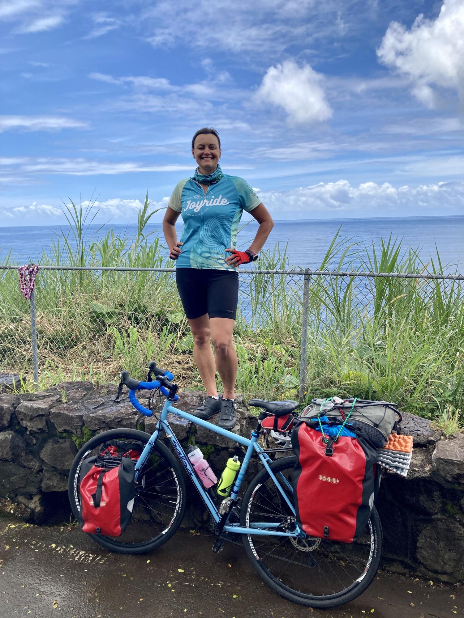 2015 Salsa Vaya Blue