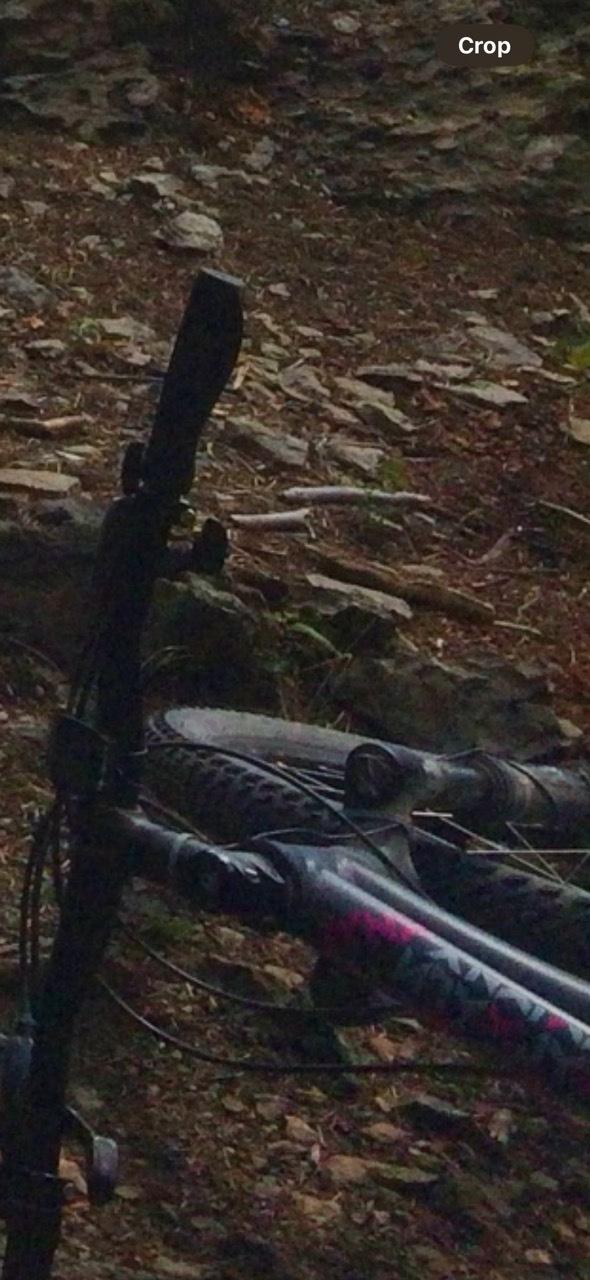 2014 Specialized Silver, gray or bare metal and Pink